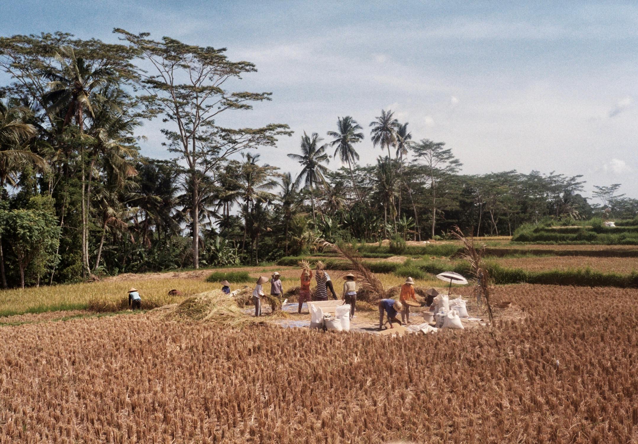 Menciptakan lapangan kerja